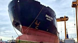 Danube Shipping Company puts its fleet up for auction