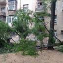 В Одесі вітер валив дерева на автівки та кіоски