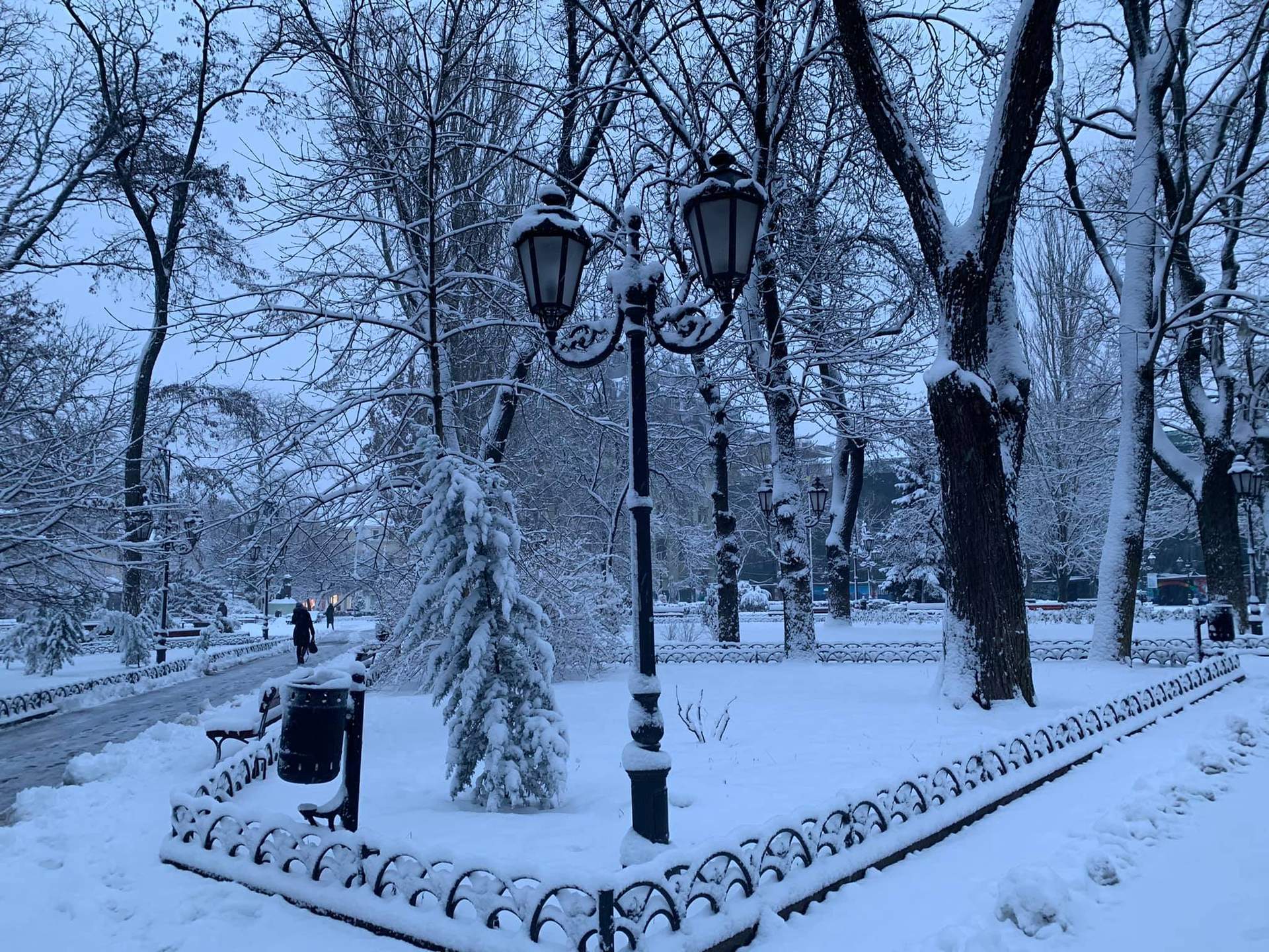 Одесу завалює снігом