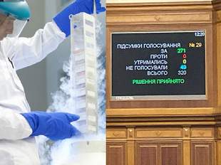 Парламент дозволив військовим безплатно зберігати свої репродуктивні клітини у кріобанках