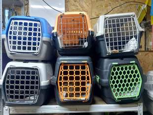 Волонтери евакуювали тварин з Херсона до Одеси: куди приносити допомогу