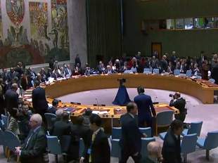 Рада безпеки ООН