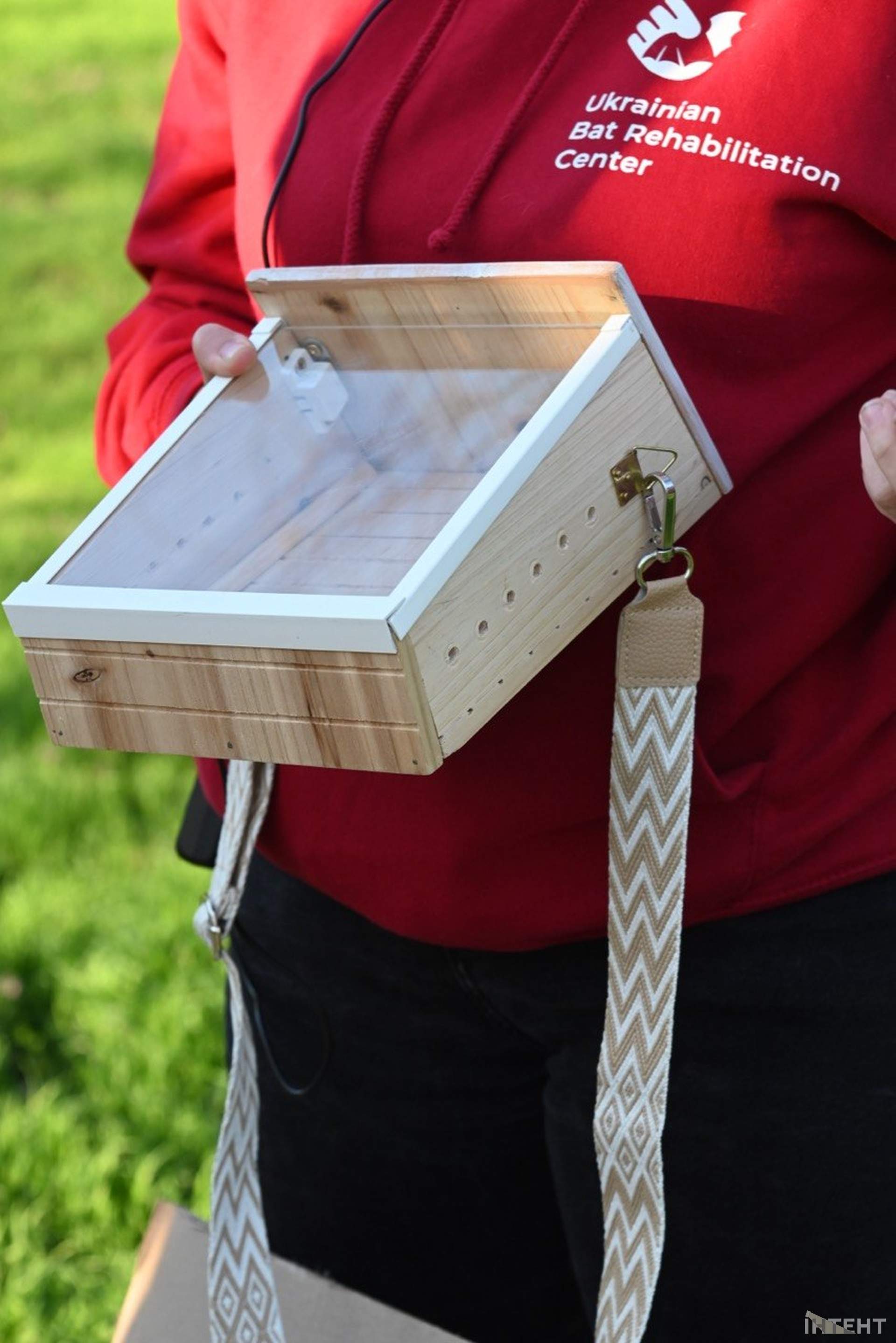 В одеському парку вперше випустили реабілітованих кажанів