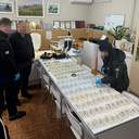 На Одещині затримали депутата, який заробляв на ухиленні від мобілізації