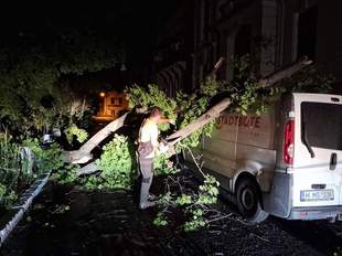 В Одессе ветер валил деревья на машины и киоски