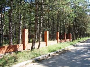 Суд вдруге повернув державі землі лісового фонду біля Коблева