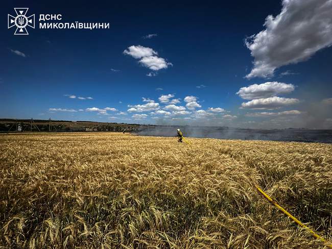 Фото: ДСНС Миколаїв