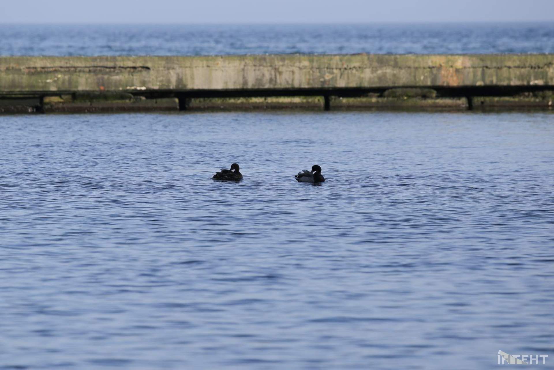 На одеські пляжі прийшла друга воєнна весна