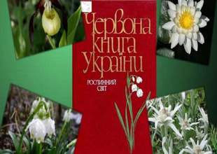 Окупаційна влада Криму планує переписати "Червону книгу" до кінця року