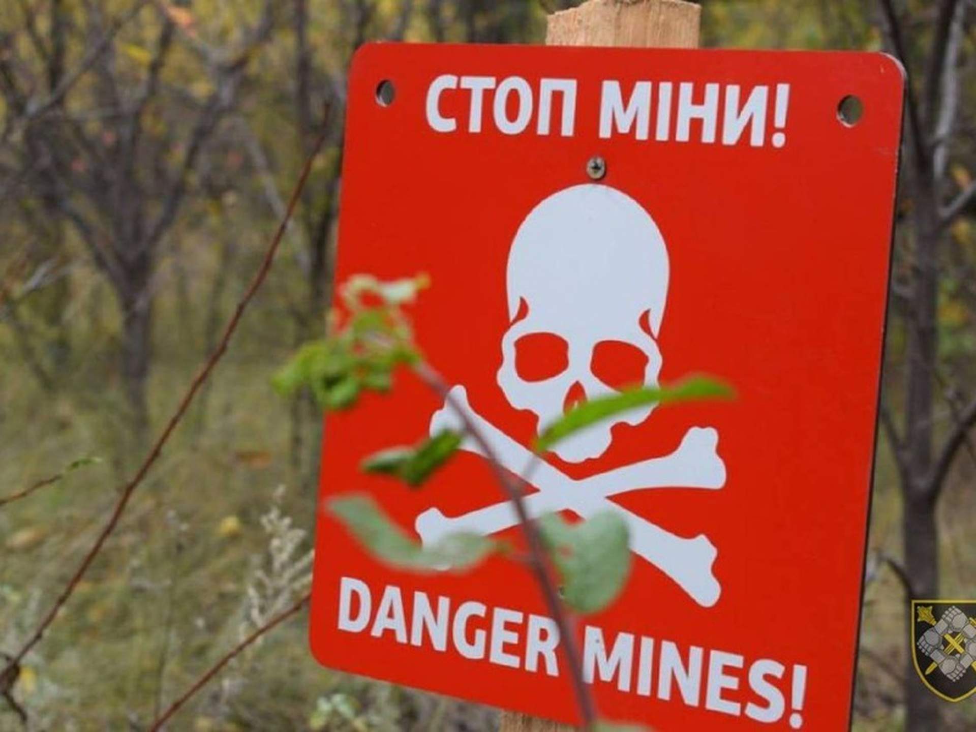 На Миколаївщині за тиждень знешкодили 630 вибухонебезпечних предметів