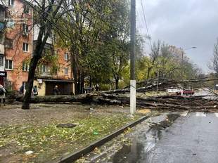 Одеські школи через негоду працюватимуть дистанційно