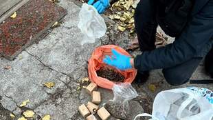 Наркобизнес и оружие: в Николаеве разоблачили группировку с миллионным доходом