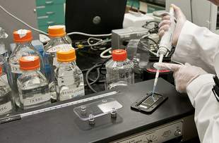 Єдина токсикологічна лабораторія Херсона працювала без зарплати