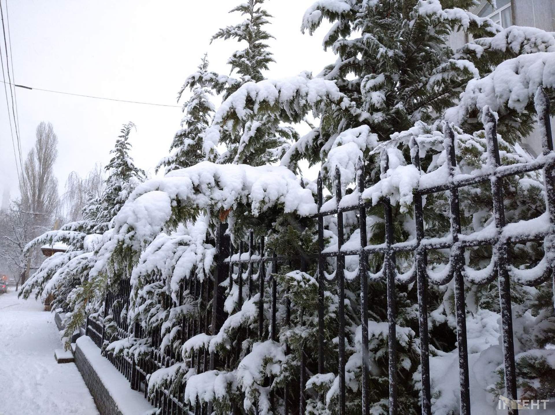 Зимова казка