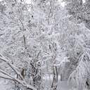 Зимова казка