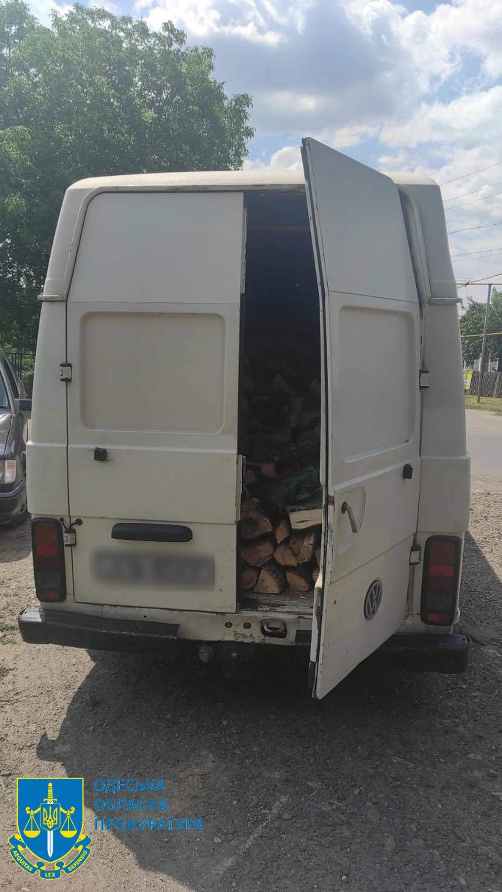 Поліцейський "чорний" лісоруб з подільниками постануть перед судом