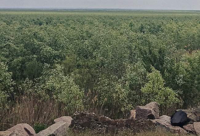 Фото: Українська природоохоронна група - UNCG