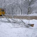 Зимова казка