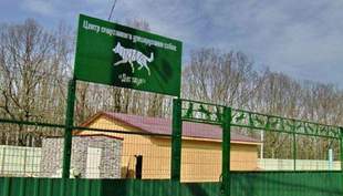 Верховний суд не став розглядати скаргу щодо собачого майданчика в одеському меморіалі "411-ї батареї"