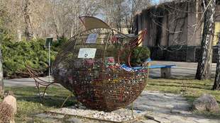 Миколаївці зібрали майже 250 кг пластикових кришок, які підуть на виготовлення безпілотників