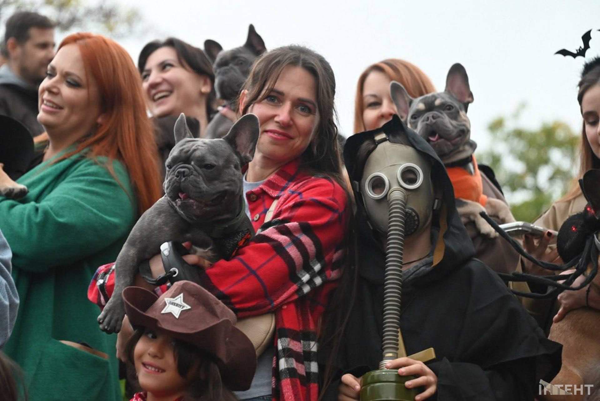 В Одесі відбулася Halloween-вечірка собак