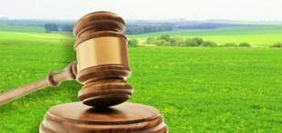 A deputy of a village council in Mykolaiv region illegally seized a land plot