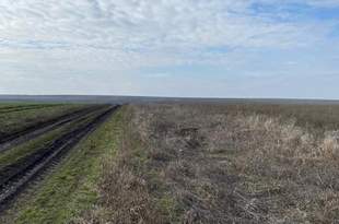 Гімназії на Одещині повернули 44 гектари землі