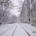 Зимова казка