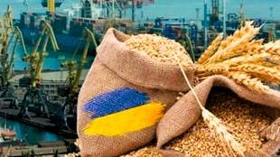 Entrepreneurs from Odesa and Mykolaiv regions laundered half a billion on agricultural exports