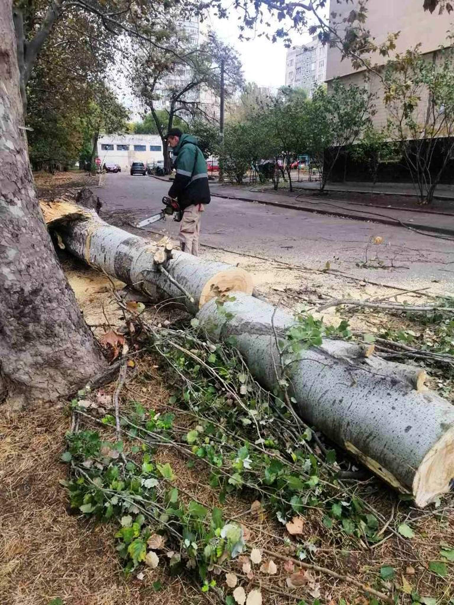 Негода позбавила електроенергії 12 населених пунктів на Одещині