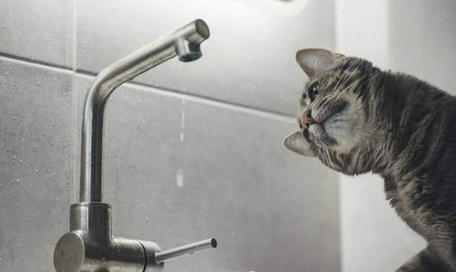 ФОТО: Коментарі