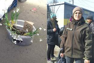 В Николаеве продавца подснежников привлекли к ответственности