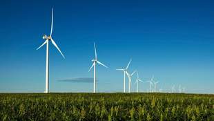 У Миколаєві планують збудувати вітрову електростанцію за пів мільярда гривень