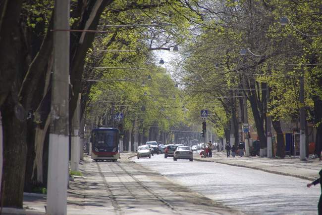 В мэрии не знают, что делать с брусчаткой на Французском бульваре и вторым рядом деревьев