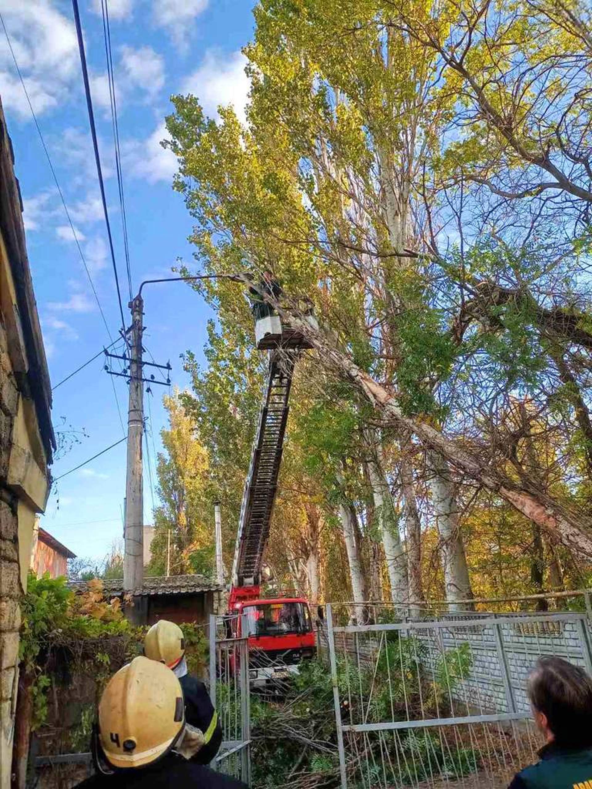 Пів сотні населених пунктів Одещини зранку залишалися знеструмлені через нічну негоду