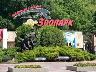 Миколаївський зоопарк планує отримати апарат для проведення операцій тваринам