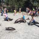 Одесса празднует день города