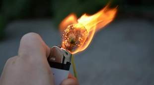 Жительницу Теплодара осудили условно за попытку поджечь офис общественной организации