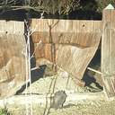 Дрони спричинили пожежі в порту та заповіднику на Дунаї