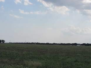 Oschadbank puts up three plots in Odesa region for sale for UAH 151 million