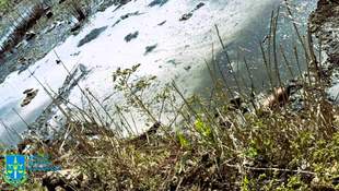 Директора коммунального предприятия Измаила освободили от тюрьмы