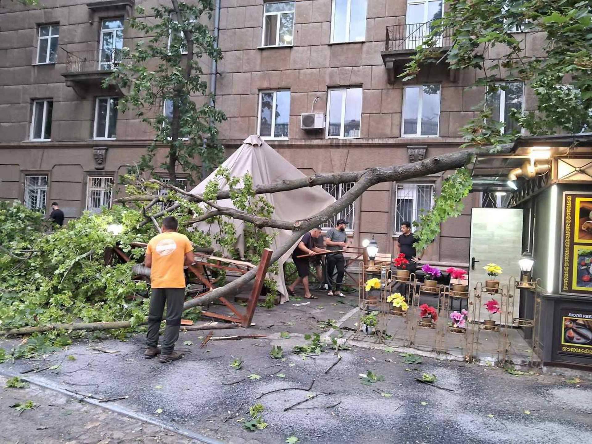 В Одесі вітер валив дерева на автівки та кіоски