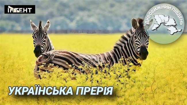 "Асканія-Нова". ФОТО: media.dyvys.info