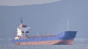 В Україні продали арештоване судно рф, яке вивозило викрадене зерно з Криму