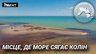 Дивовижний Південь: Ягорлицька затока – край заповідних островів