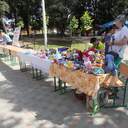 У Рені відсвяткували День Дунаю