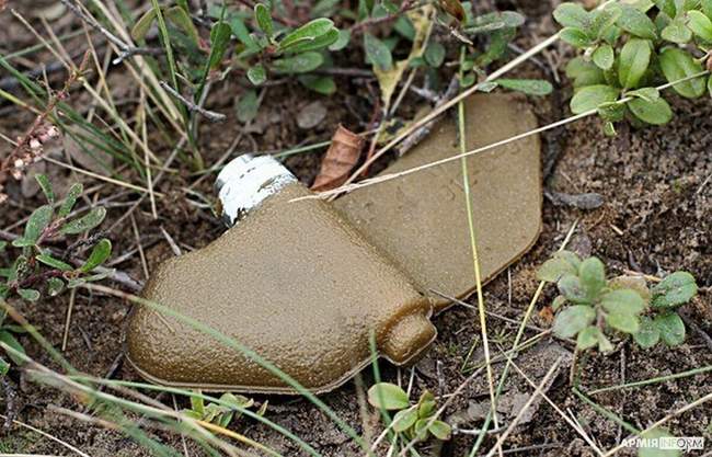 Протипіхотна міна ПФМ-1. ФОТО: Армія Інформ