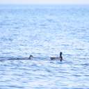 На одеські пляжі прийшла друга воєнна весна