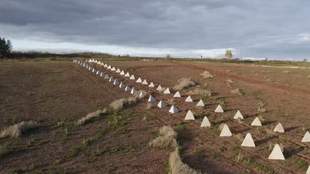 Окупанти в Криму активно будують захисні споруди