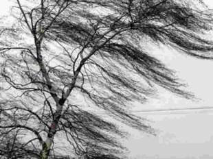 На Одещині вітер зірвав частину даху з п'ятиповерхівки